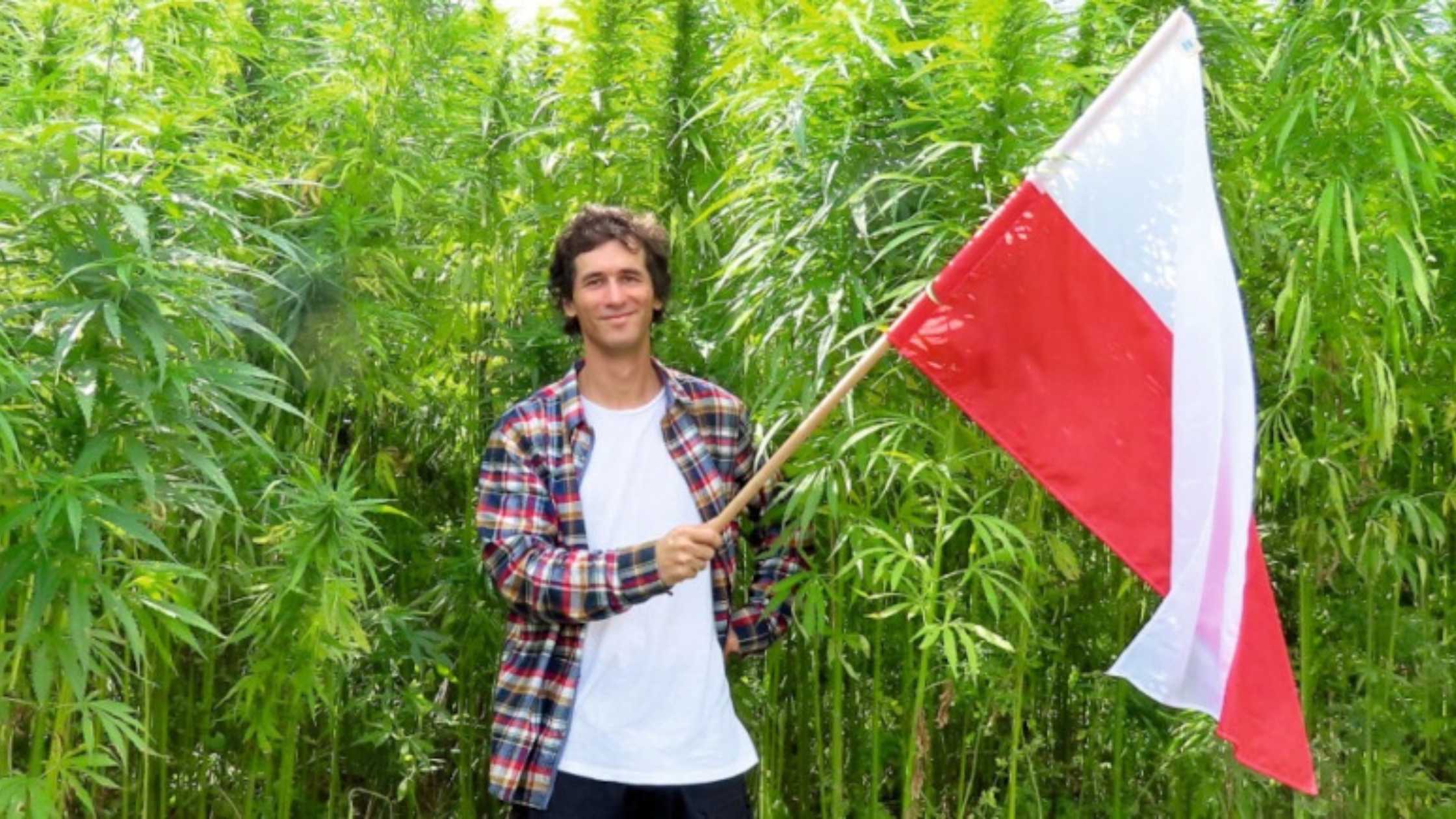 Polish High Court Excavates Health Officials, Indicating Hemp Flowers as Food