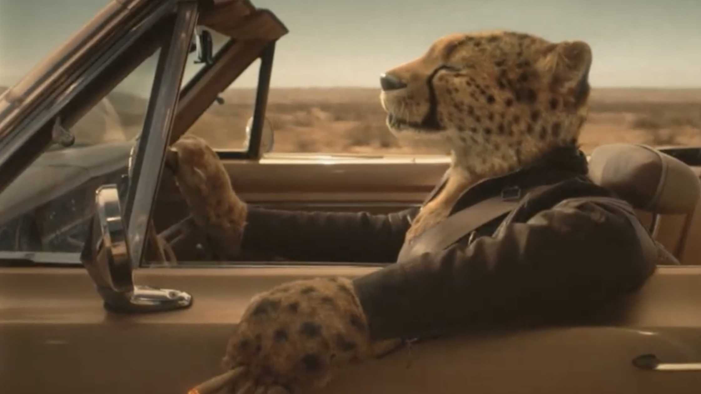 Driving Cheetah