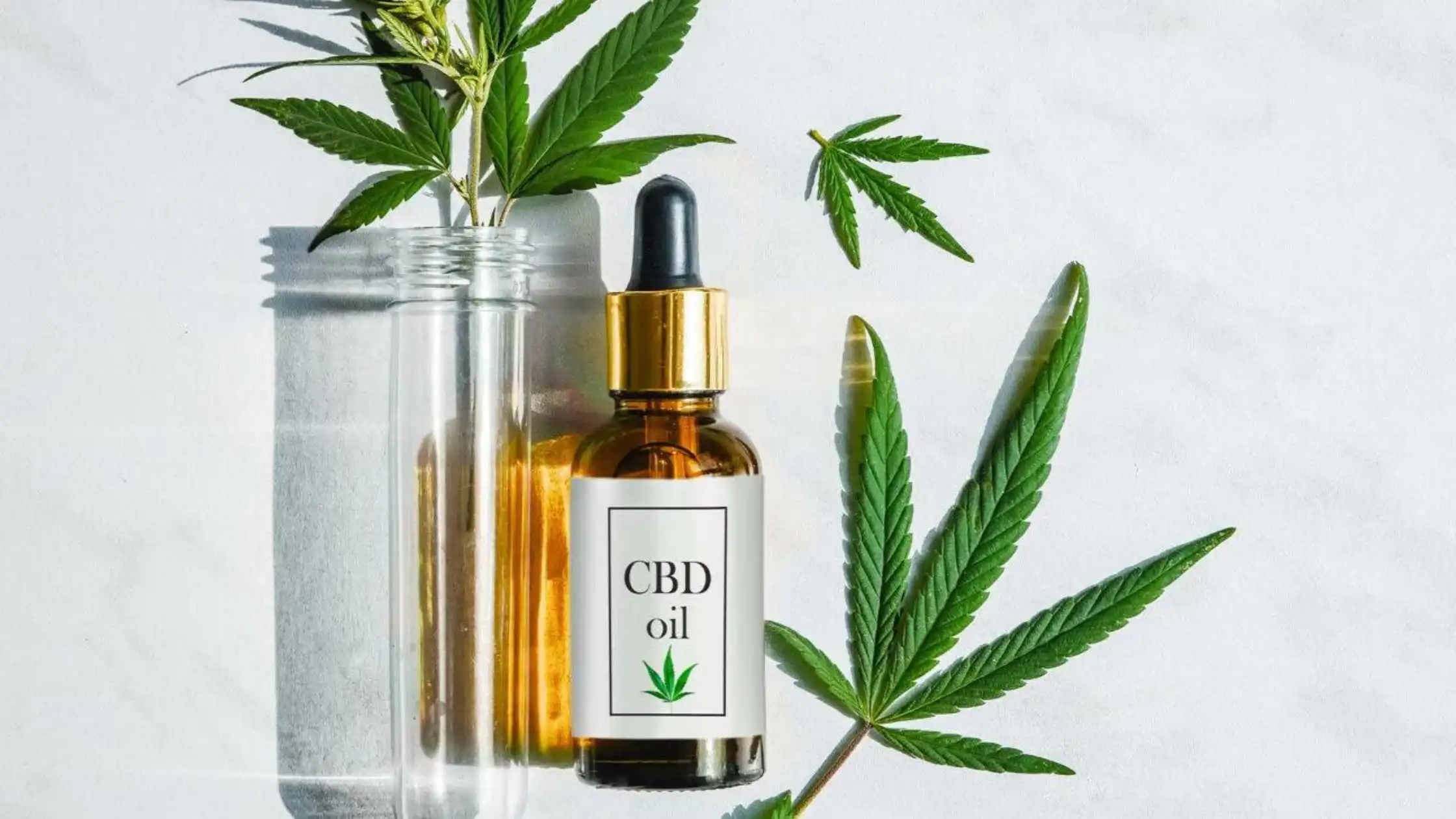 Does CBD Oil Expire How to Check and Whether It's Safe