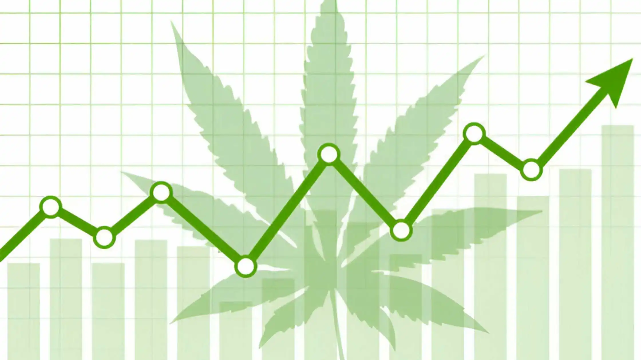 2 Major Marijuana Stocks That May Be Your Ultimate Go To Bet