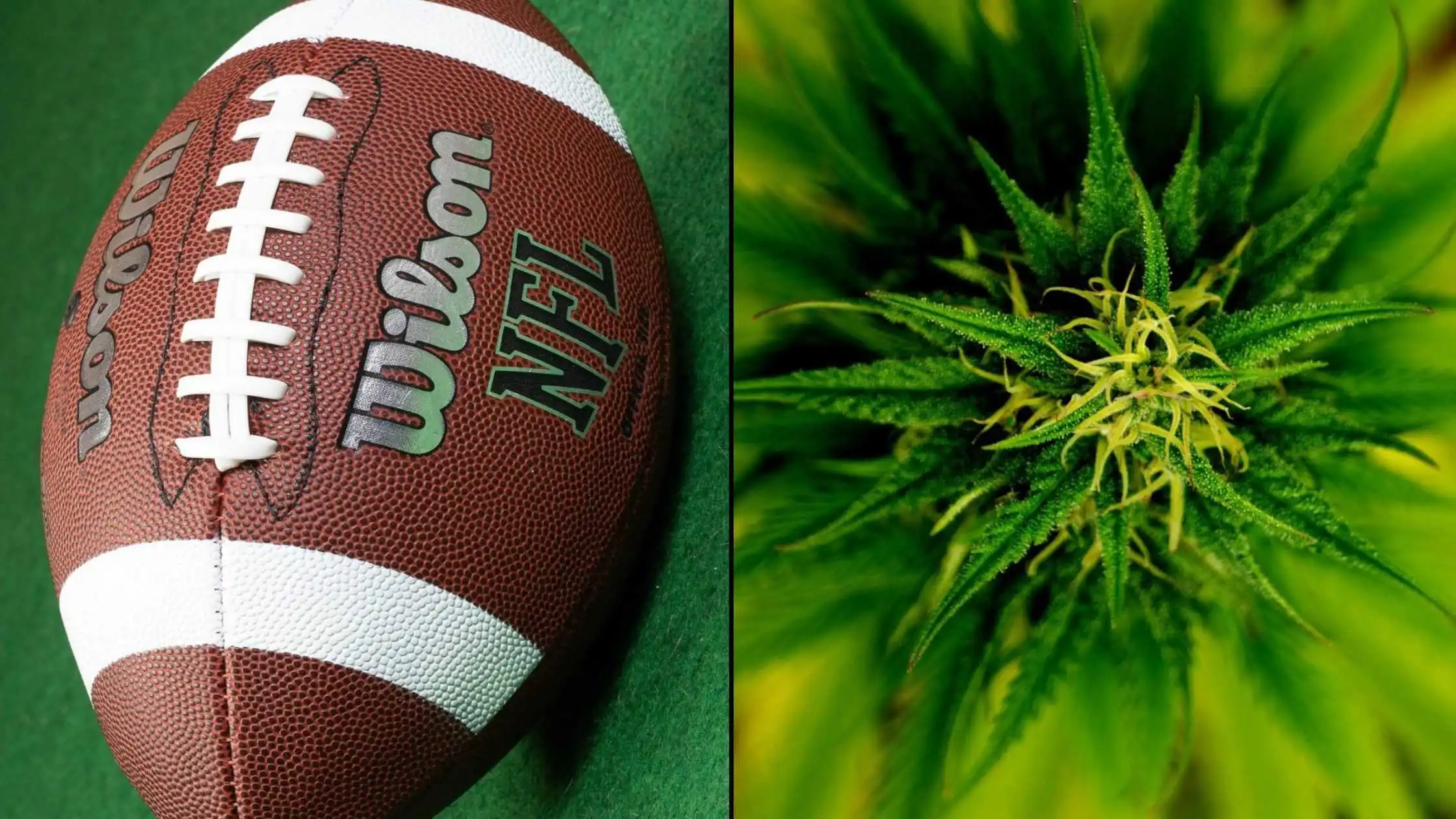 NFL Grants $1 Million to Support Marijuana Pain Management & Concussion Suppression for Players
