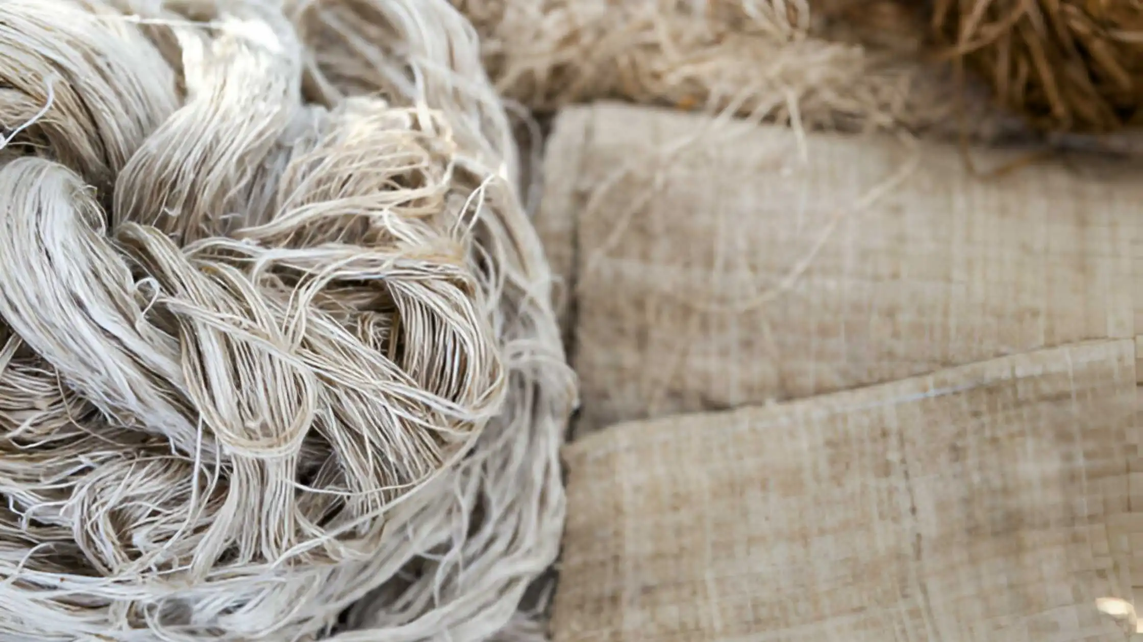 8 Mind-Boggling Benefits Of Hemp Clothing To Adopt Hemp