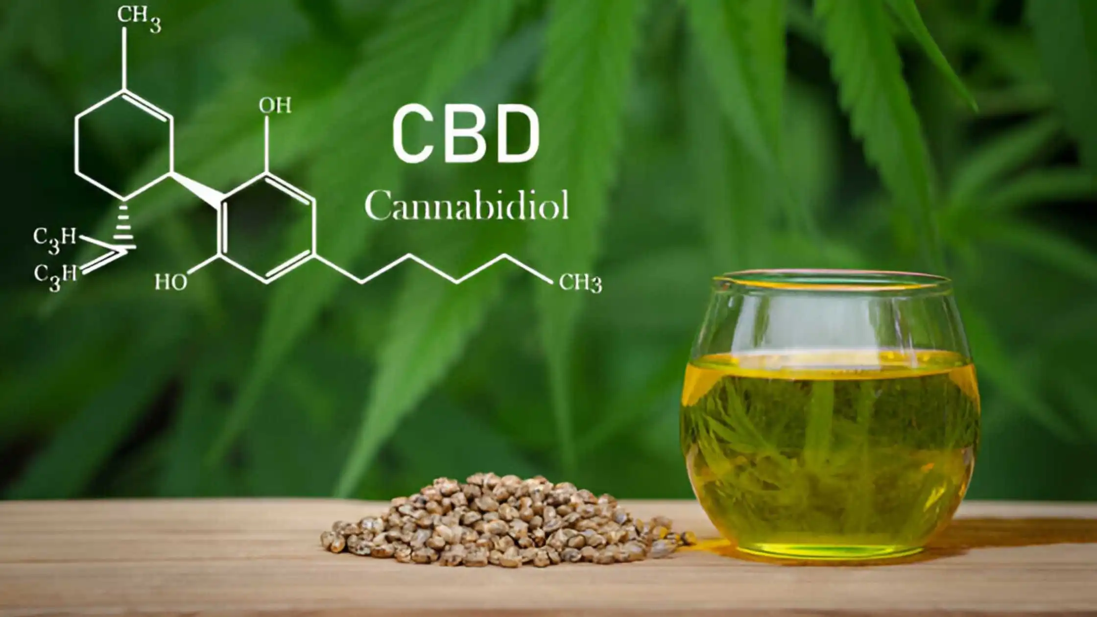 Want to Know everything about CBD?