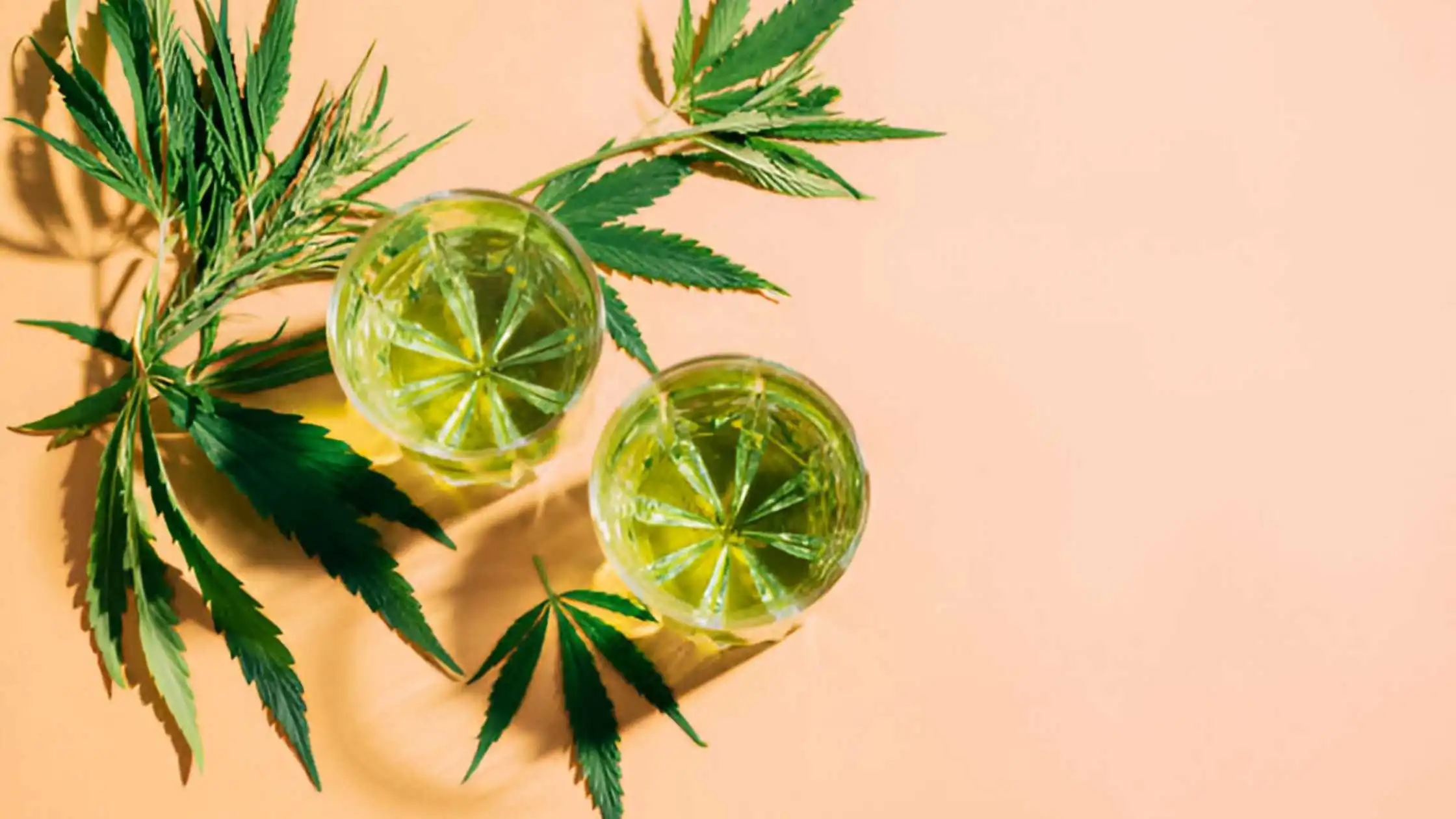 Hangovers Can Become Stringent, Use CBD for better Relief