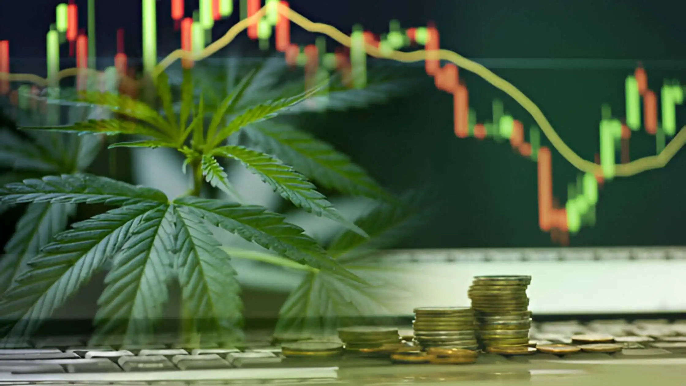 Planning for the Golden Quarter: Holidays a Windfall for Cannabis Businesses