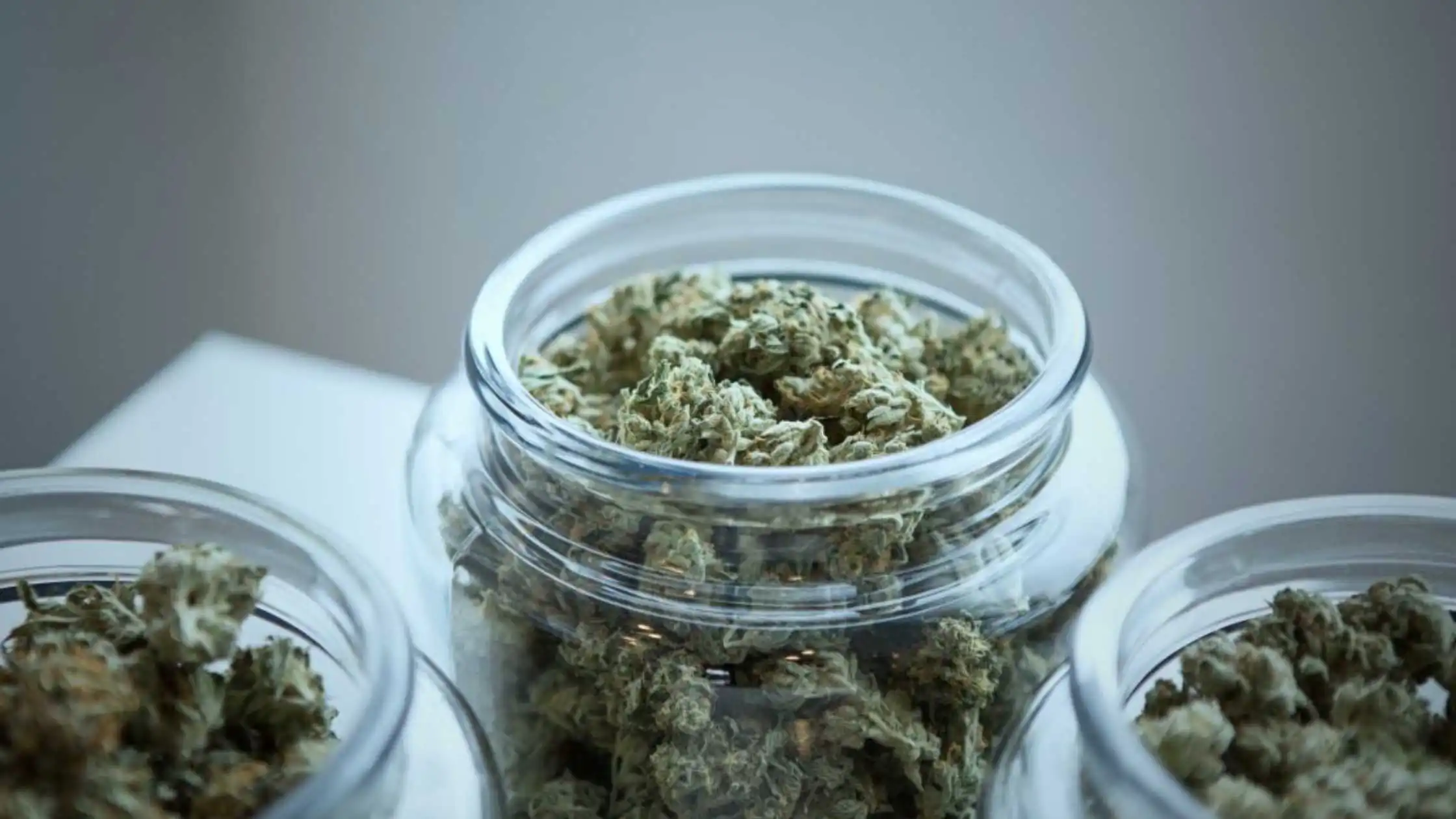 NY Based Docs Can Now Prescribe Medical Marijuana for Patients with Any Condition They See Fit
