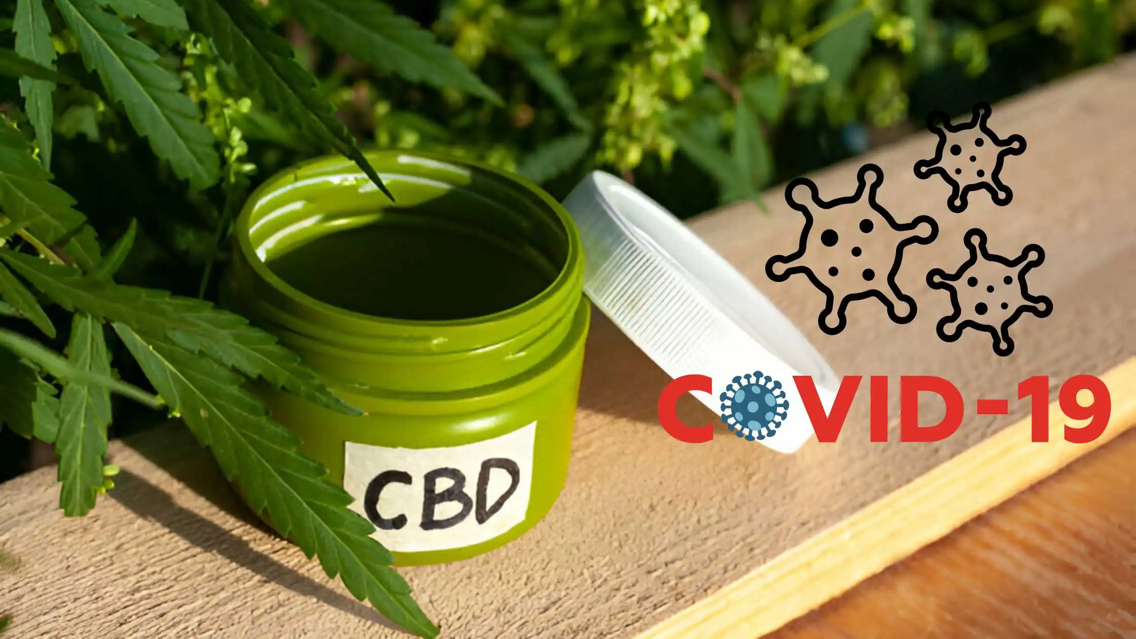 How Hemp’s Potential to Curb COVID is Not Limited to CBD, The Big Picture