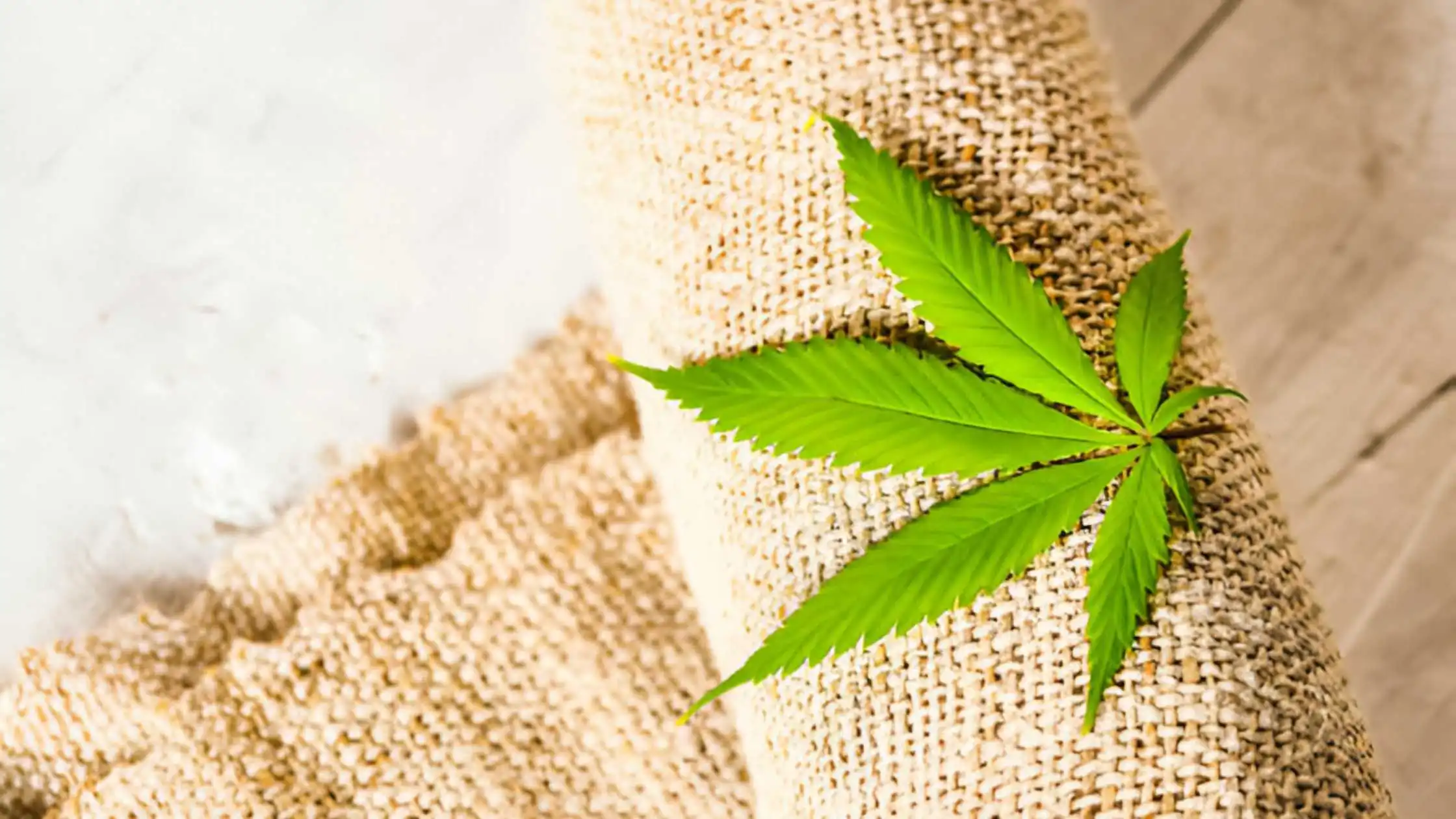 How Hemp Plant Is Made Into Sustainable Clothing