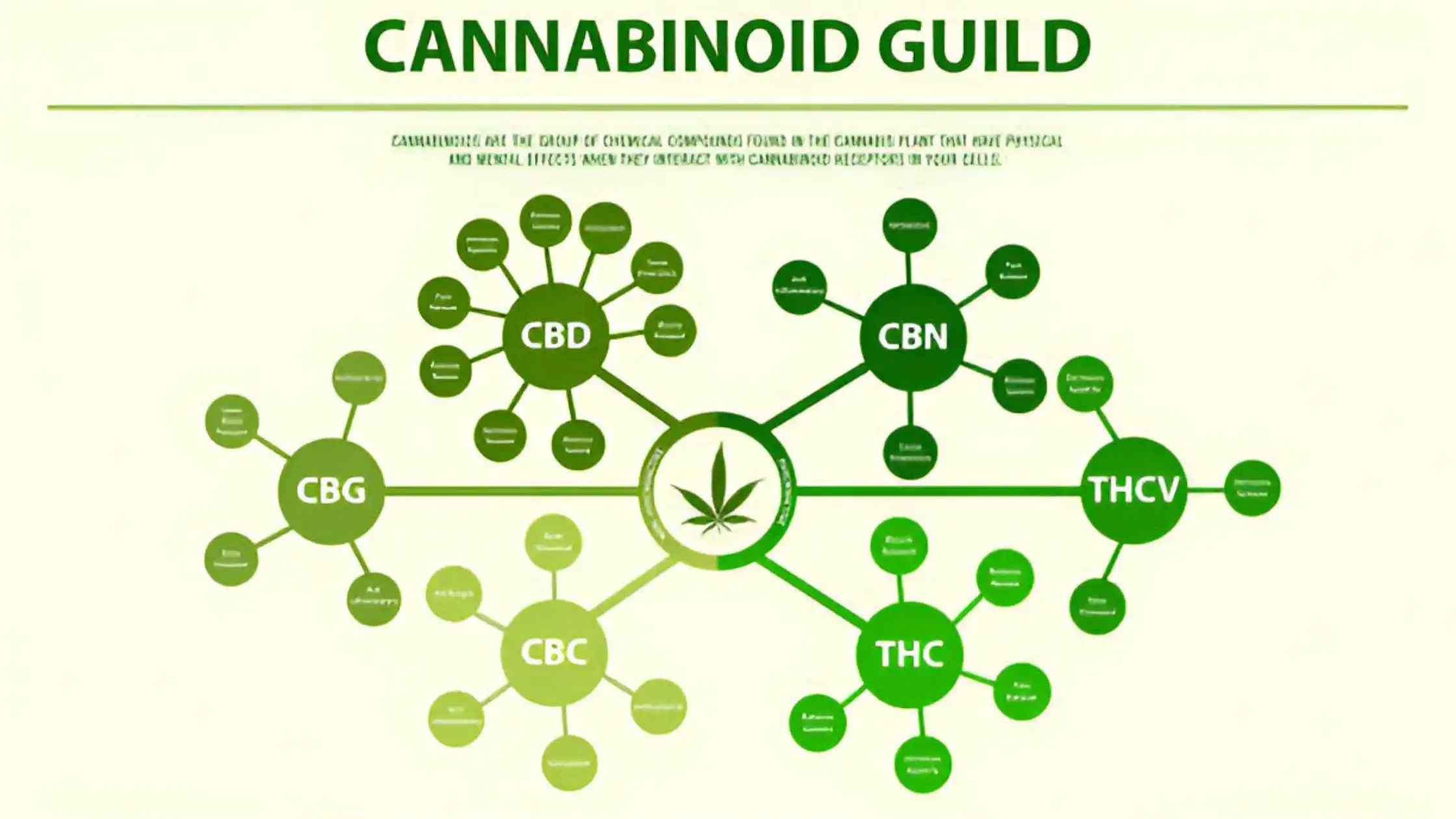 Cannabinoid Chart With Simple Explanations