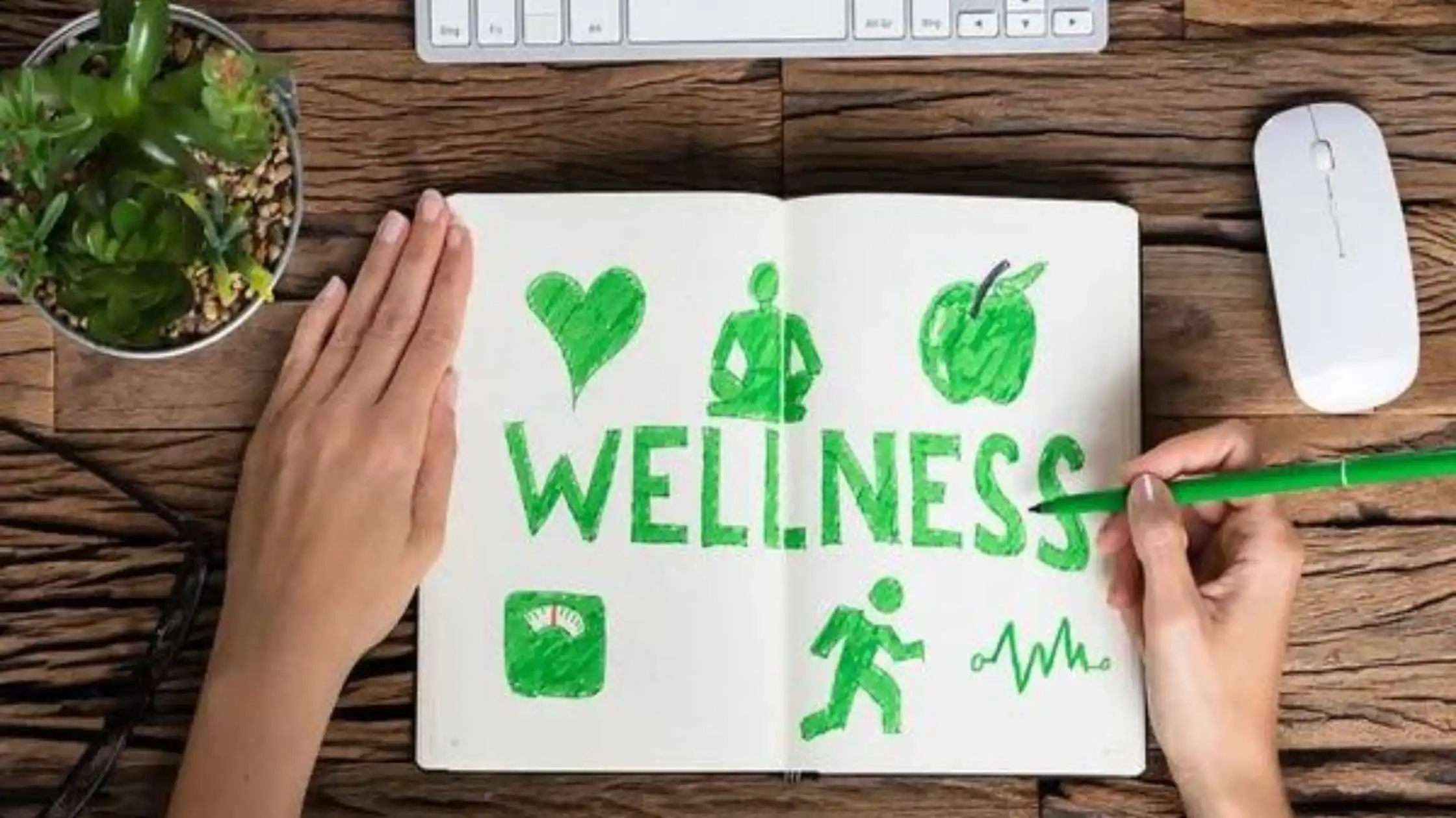Holistic Wellness: How to Improve Mindfulness, Physical Fitness