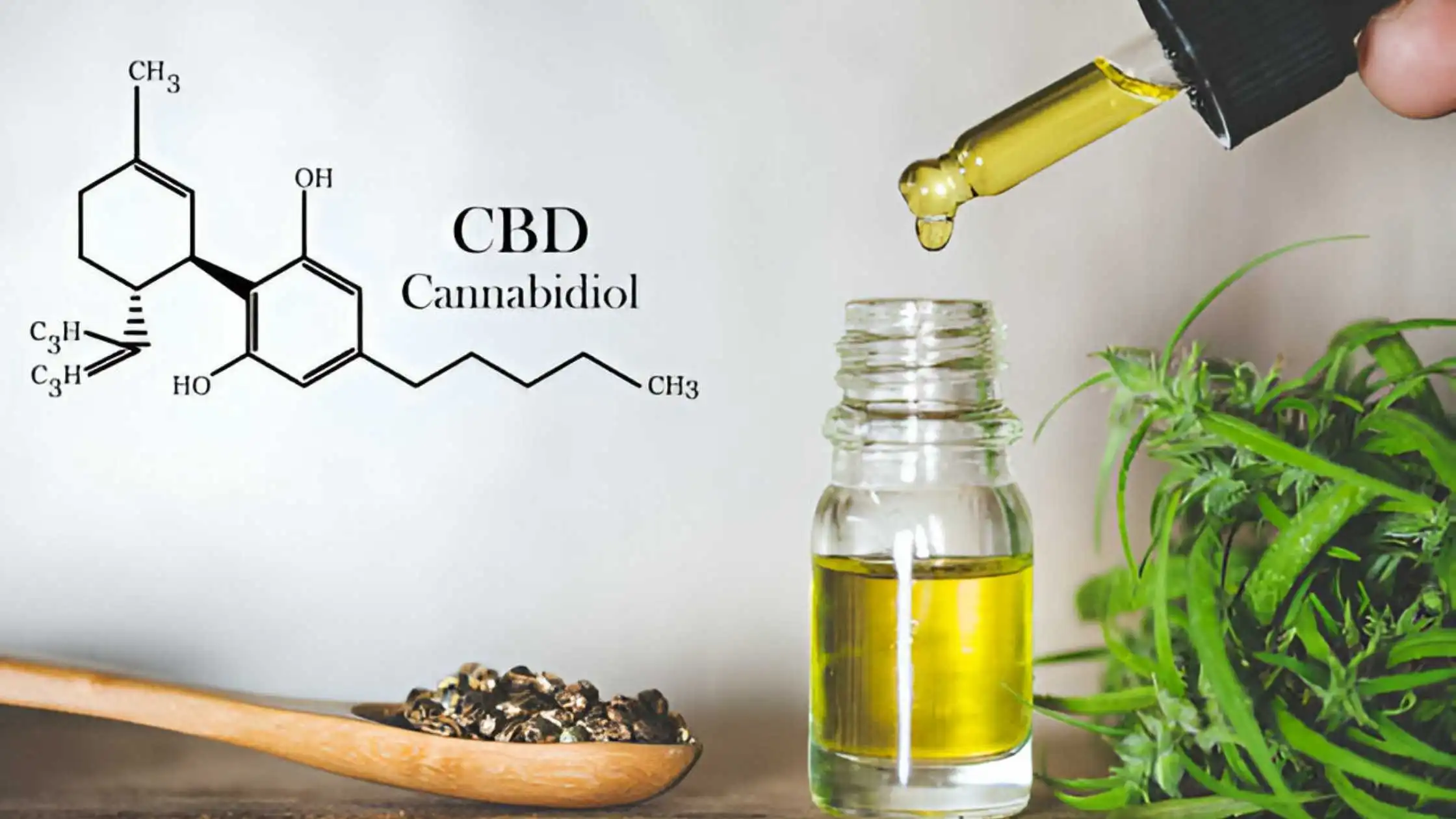 Cannabidiol - Everything You Need to Know about it
