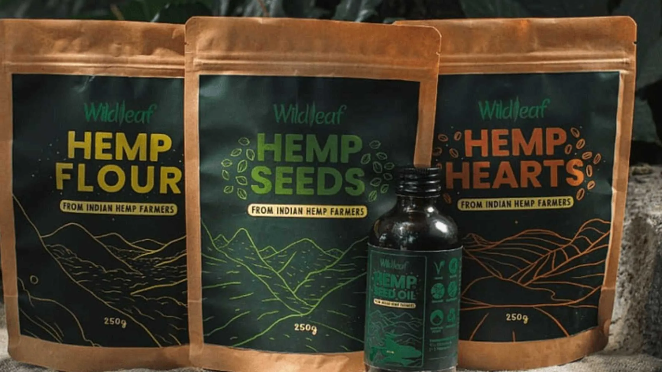 What is Wildleaf Cultivating Hemp Culture?