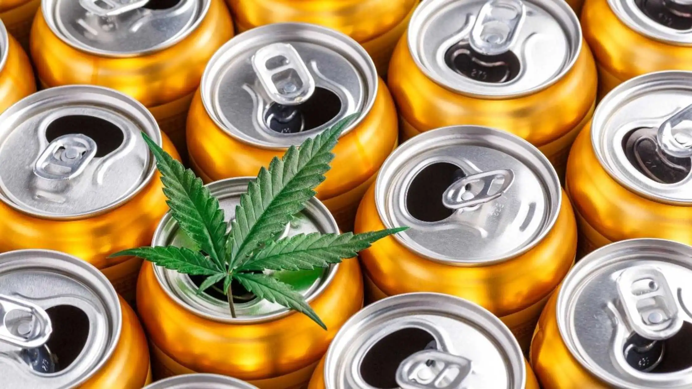 Cannabis Based Beverages, Idea for Market Revolution!