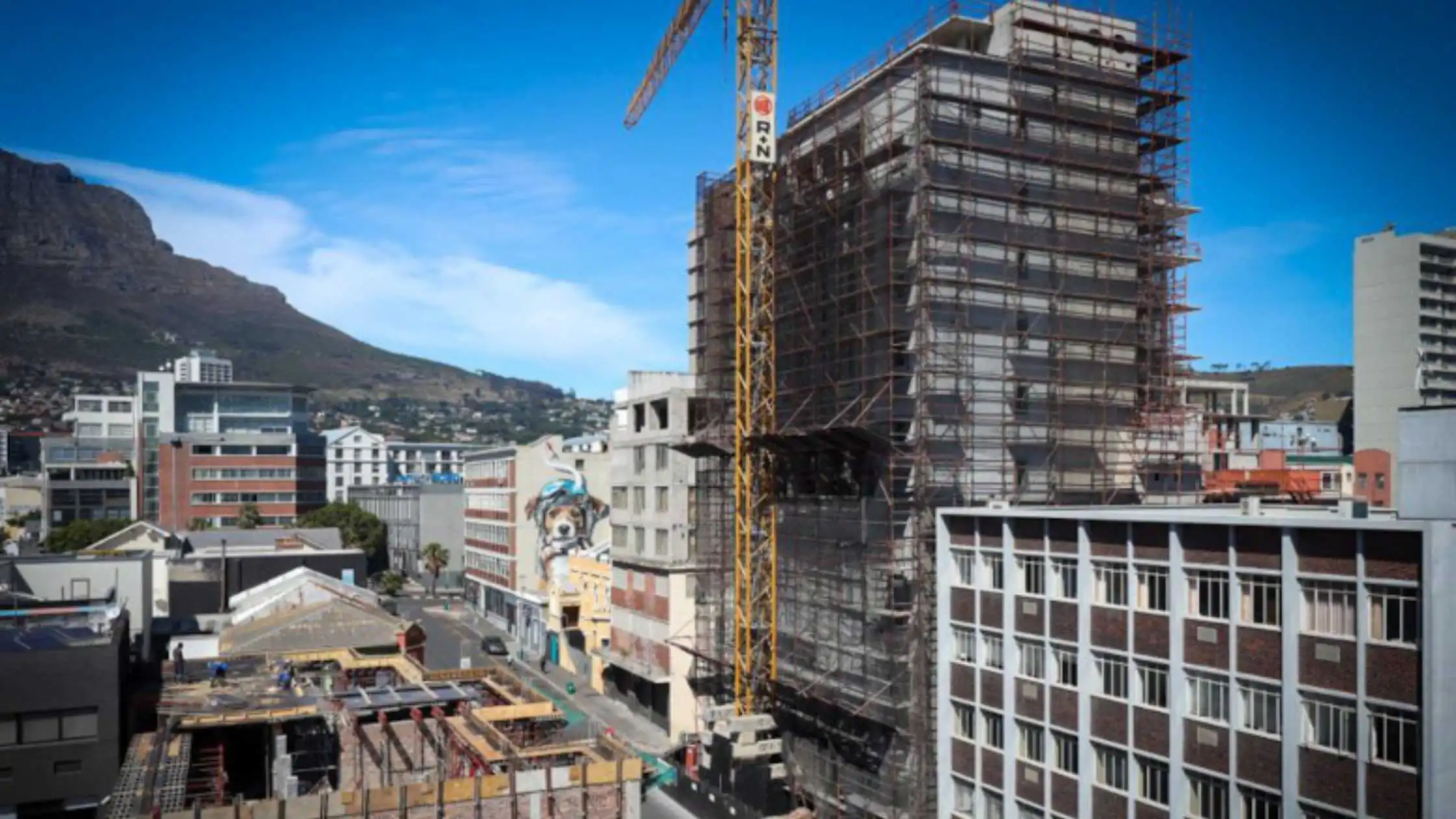 South African Venture Demonstrates Hemps Ability to Upgrade Present Buildings