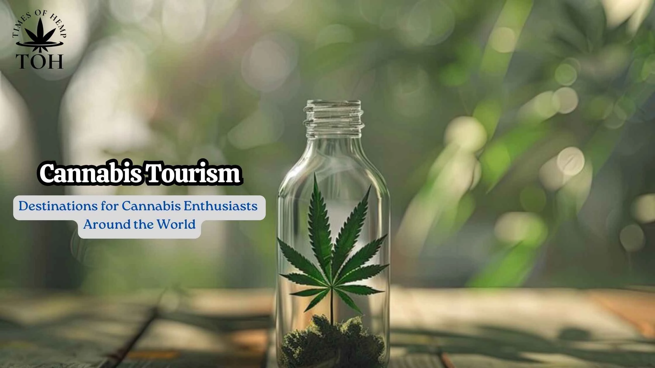 Cannabis Tourism