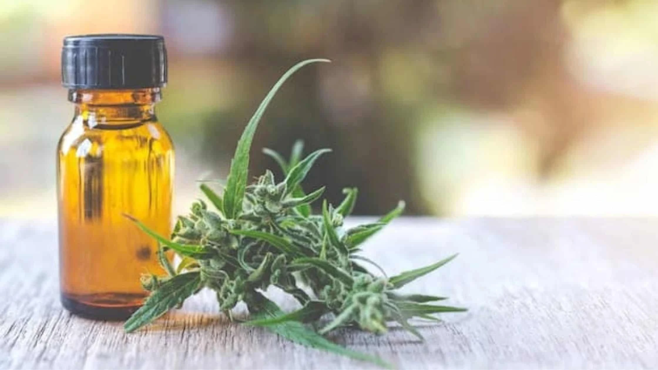 How CBD Interacts with the Body