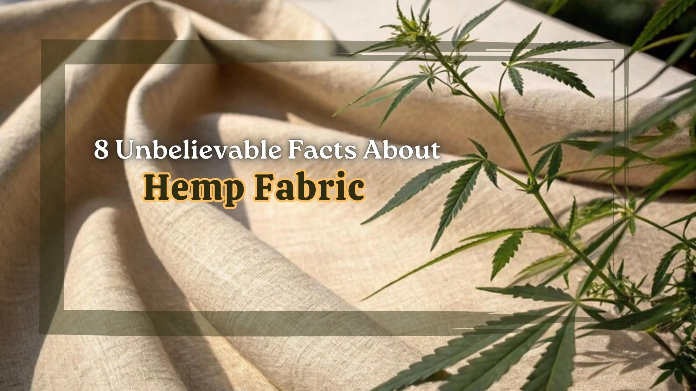 Hemp Fabric