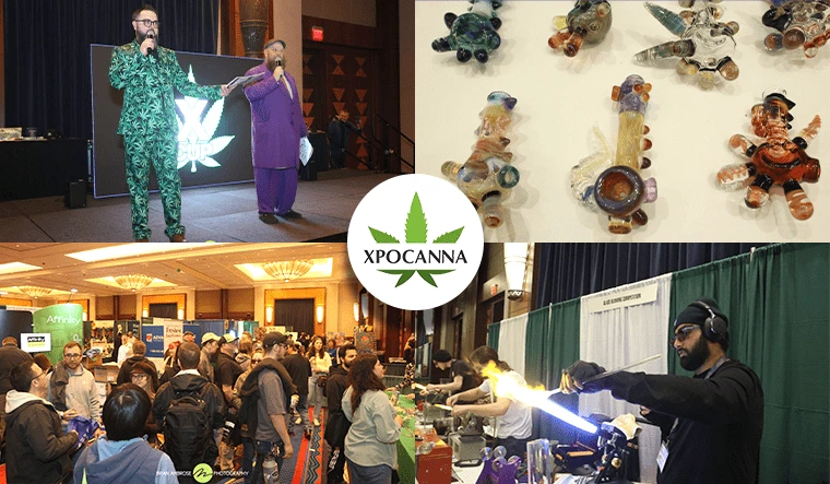 Connecticut Cannabis Expo